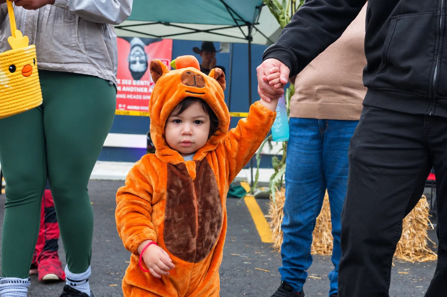 A little bear, hand in hand.